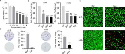 Analysis of Long Noncoding RNAs in Aila-Induced Non-Small Cell Lung Cancer Inhibition